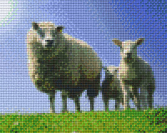 Sheep Four [4] Baseplate PixelHobby Mini-mosaic Art Kit